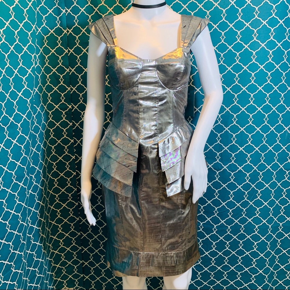 🛍NWT *RARE* Leonardo Salinas Silver Dress Sz 2